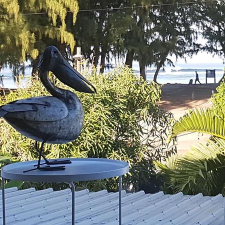 Le Pelican 艾尔米塔什莱班 外观 照片