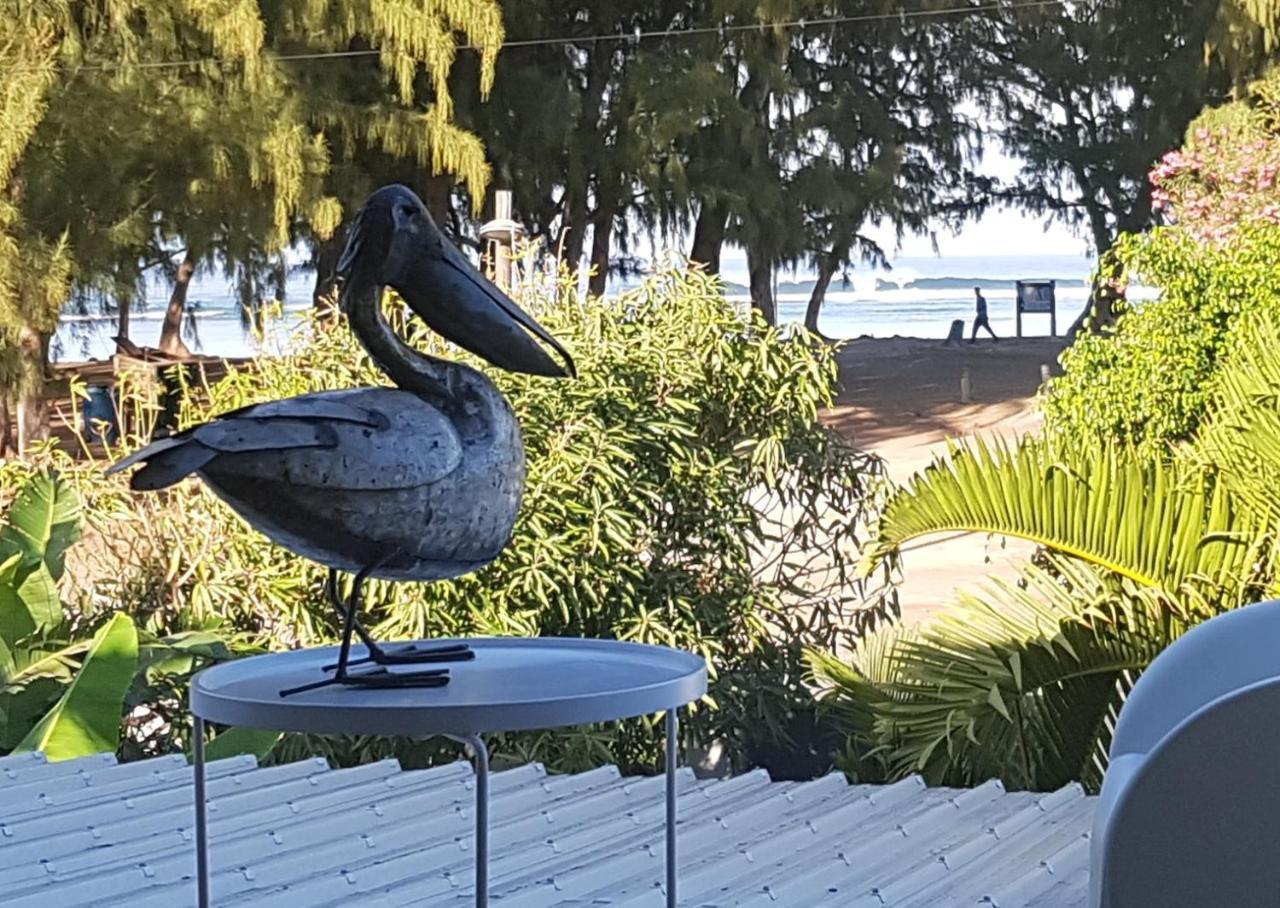 Le Pelican 艾尔米塔什莱班 外观 照片